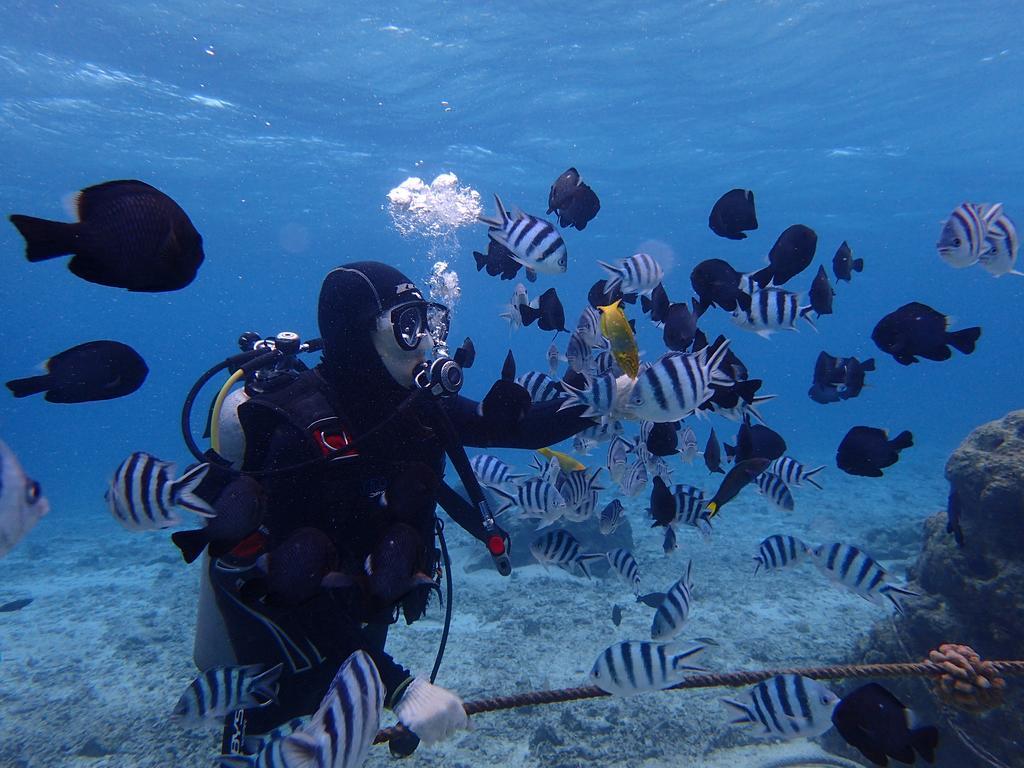 Ocean Pmc