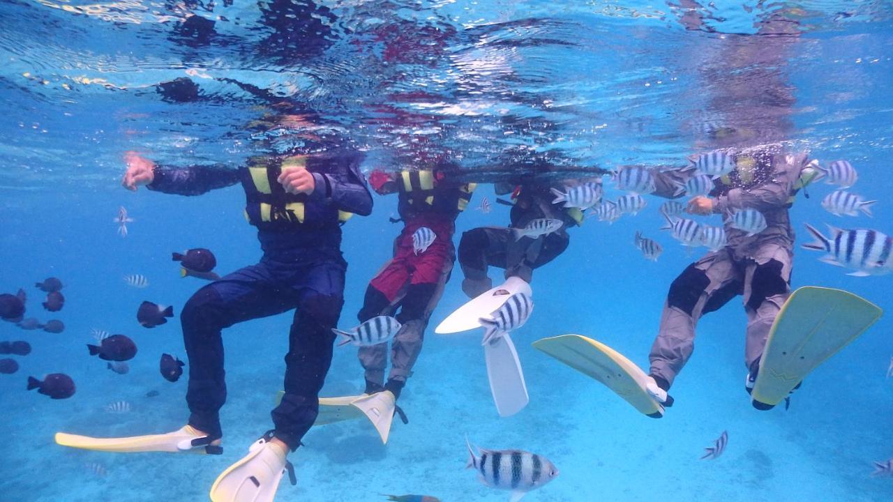 Ocean Pmc Onna